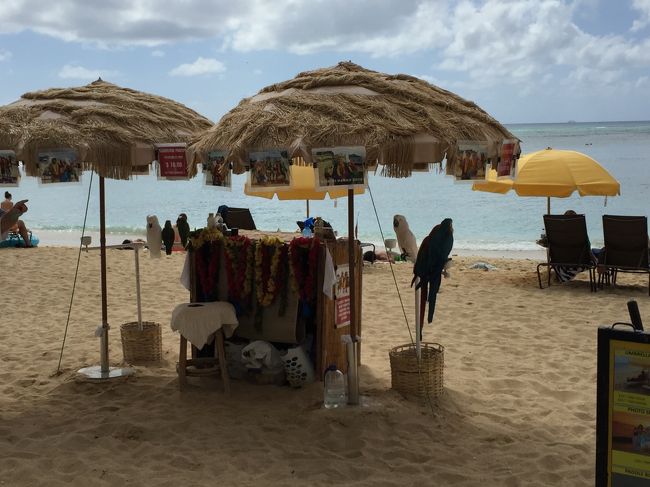 私は、海でウミガメを撮るために持って入ったカメラを波に浚われて紛失。<br /><br />波が小さいからといってサーフボードに取り付けていましたが、舐めてかかってはダメですね！<br /><br />しかし、この旅行で小さなことは全く気にしません(´；ω；`)ｳｯ…