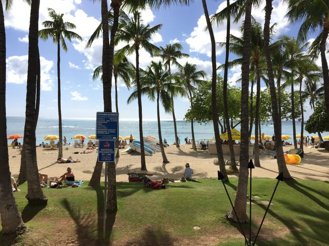 ハワイでの初ハロウィンで疲れるであろうと<br />今日は全く予定はいれておりません。<br /><br />子供がゆっくり寝て、プールで遊びそこそこの時間になったので<br />パールハーバーに出かけることに！<br /><br />しかし残念、パープルライン最終便が出てしまっており<br />レッドラインで観光することに！！t