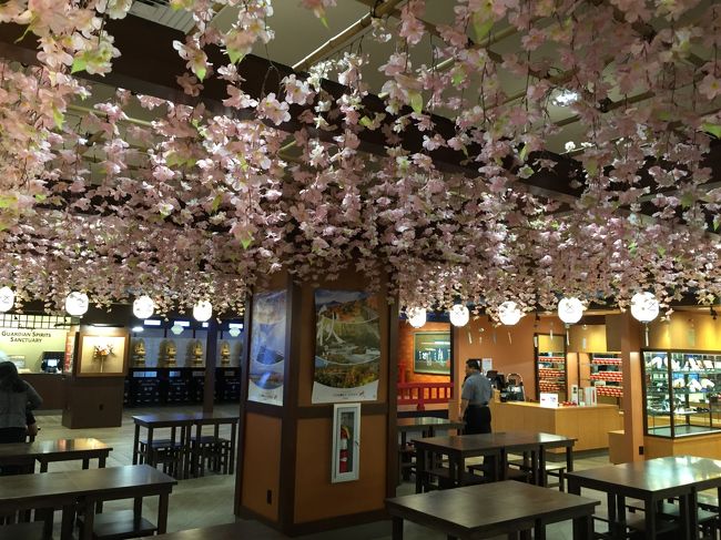 晩御飯は白木屋で<br /><br /><br />