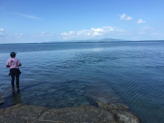お魚釣っている人がいたり、小魚が泳いでいたり、蟹がいたり…。<br /><br />癒やされる♪西桟橋