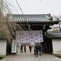 母娘でのんびり秋の京都旅行（１）醍醐寺・三室戸寺と平等院のライトアップ