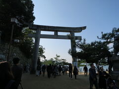 宮島の厳島神社にキター！