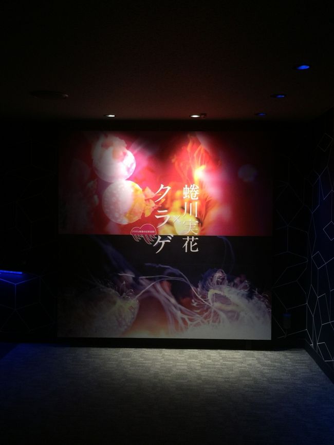 虻川さんのクラゲ展