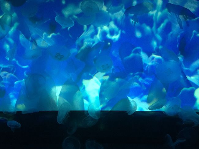 7時過ぎてから行くので空いていてゆったり過ごせます