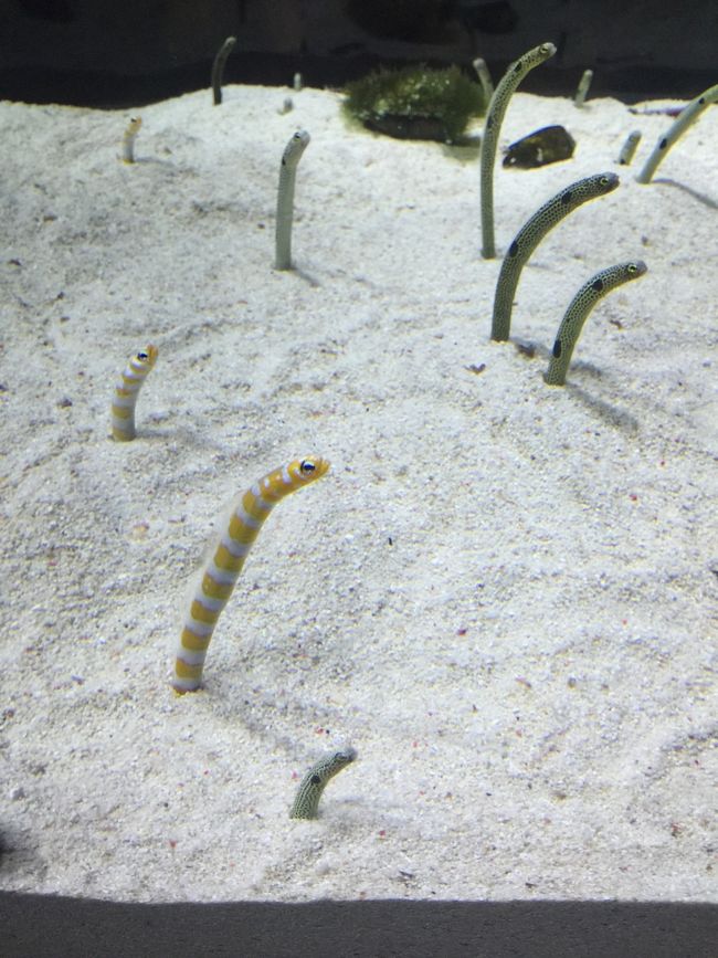 にょろにょろ。。飛び出してます