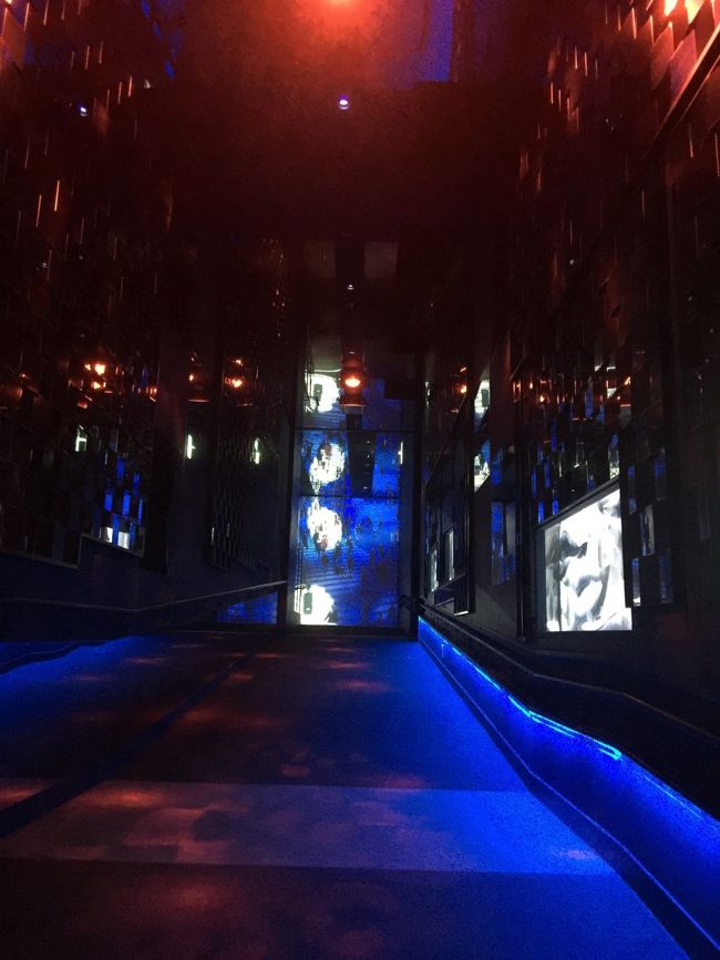 クラゲトンネルだ