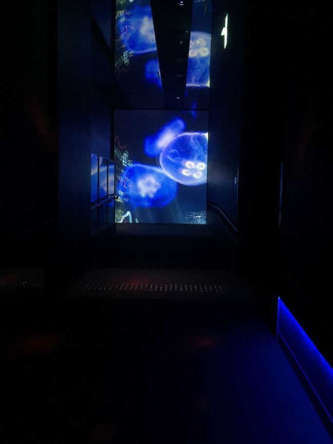 わぉ、綺麗、幻想的♪