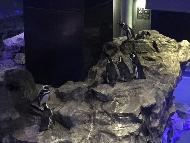 みんな後ろみてますが…なんだろう