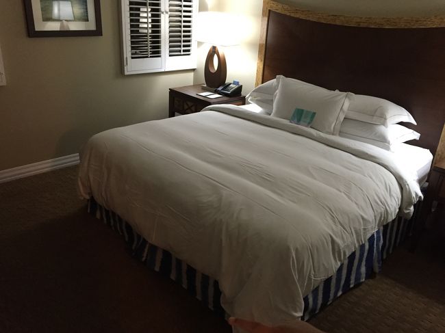 でっかいベット<br />