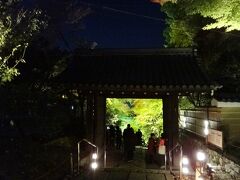 高台寺の山門階段の紅葉

少しだけ紅葉が始まっている