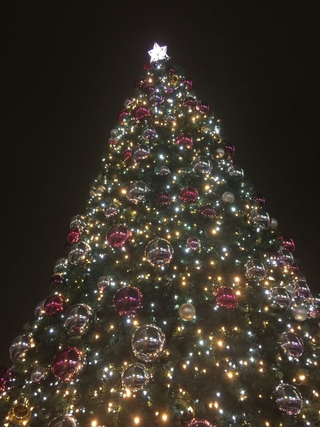 水族館に行く途中にあります。