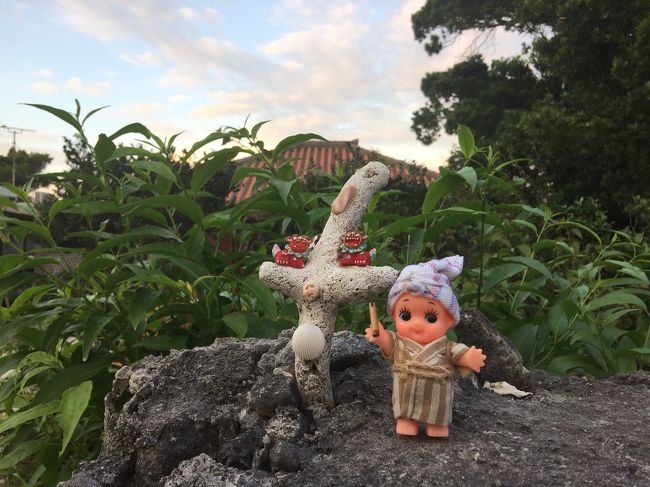 友人宅のチビシーサー。 撮影時石垣の上にキューピーを置かせていただくよう許可頂いてます。<br /><br />このキューピーちゃんは種取祭限定キューピーです♪ かわいいでしょ