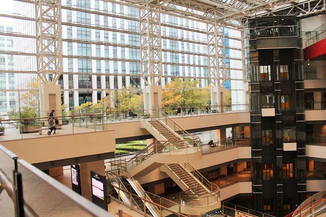 気持ちよさそうなフリースペース☆彡