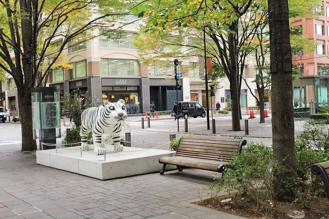 来るたびに、いろいろなオブジェが飾られているけれど、今日のこの日は、ホワイトタイガー！！<br />思わず、我が家に置いてきた愛猫のヴァンキッシュを思いだしちゃった♪<br />元気にしてるかな？？