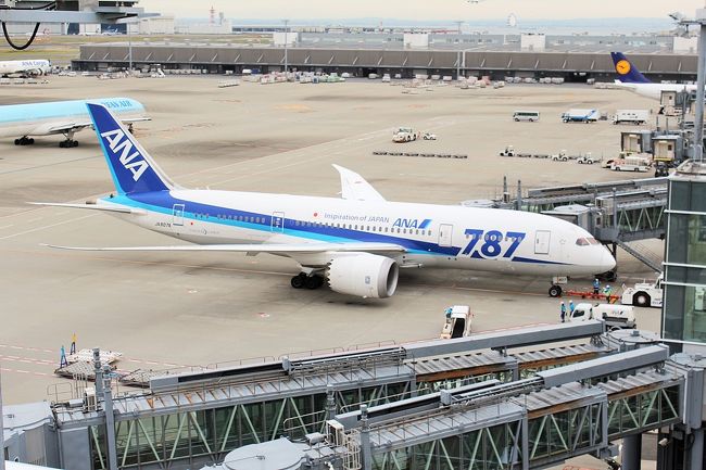 第一印象、、、すごくANAが多いなぁ。。。。と。<br />やっぱり、JALが経営支援を受けている時の影響が大きいのかな？？<br />最新鋭旅客機と呼ばれるボーイング787、乗ってみたいなぁ～♪
