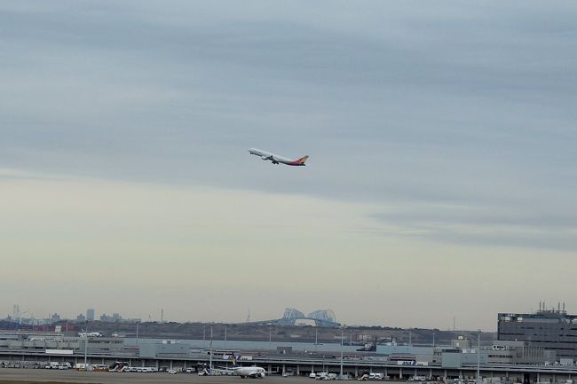 着陸するのは結構な頻度で見ることができたけれど、飛び立つ瞬間を全然見ることできなかった・・・