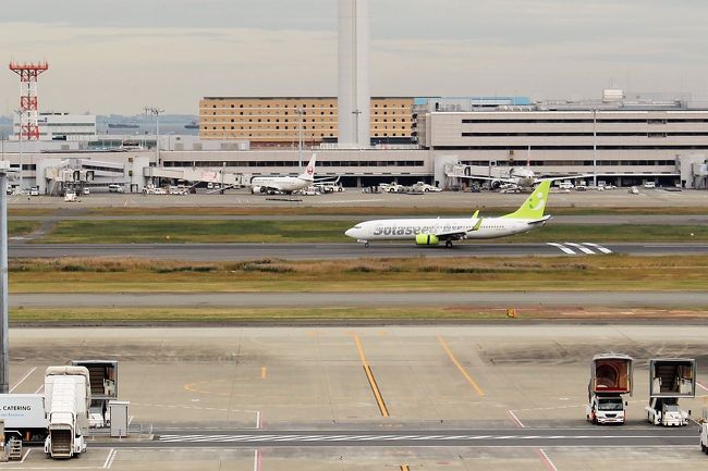 ソラシドエアーは初めて見るわ～。こんな色なんだ。パステルカラーねっ。