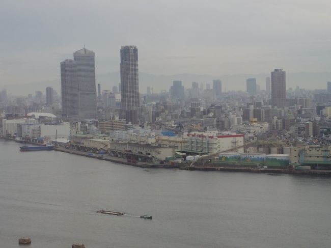 安倍川を挟んで、高層ビルは弁天町あたりかな。