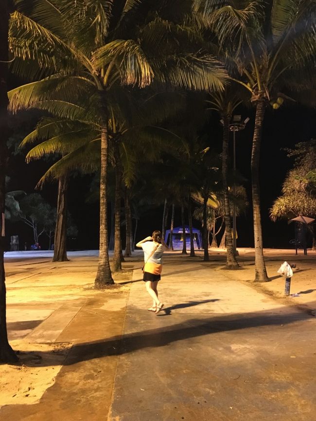 夜はピトンビーチをうろうろ。<br />夜の海にそびえ立つヤシの木は独特。<br />嫌いじゃないですがなんだかゾワゾワします。。笑