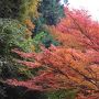 貴船神社と光明寺の紅葉