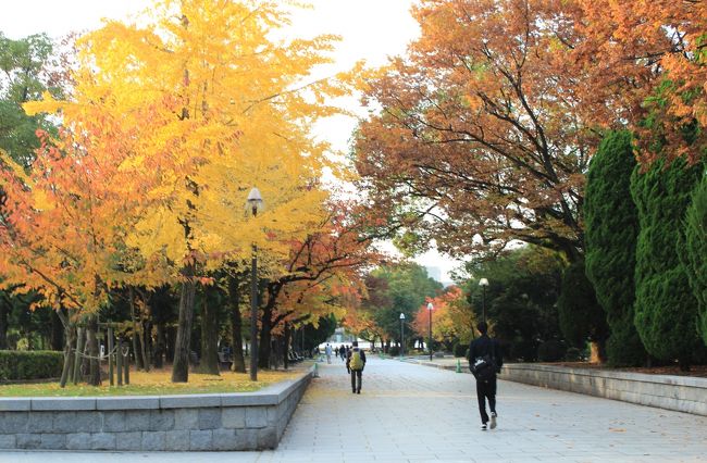 すぐそばの橋を渡って、平和記念公園へ。<br /><br />いい色に色づいて、紅葉がきれいです。