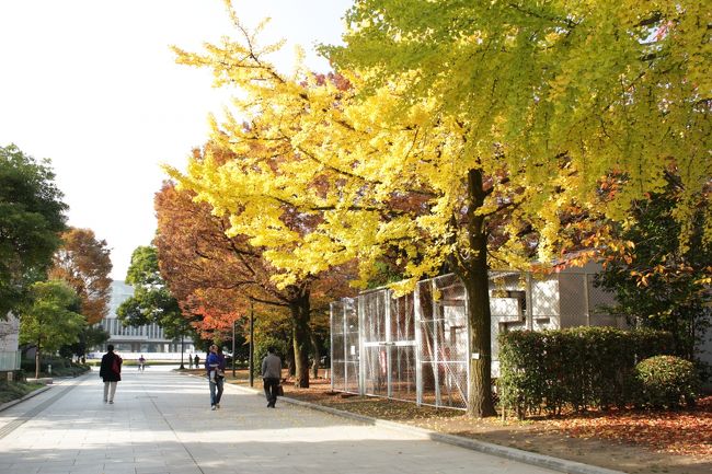 まだまだ見どころがあるのですが、時間がなく、残念です。<br /><br />紅葉も美しく、来てよかったです。