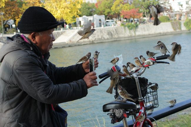 署名活動されてる方もいて、サインしました。<br /><br />川べりに、男性がいて、スズメがたくさん！<br />すごい慣れてますね。