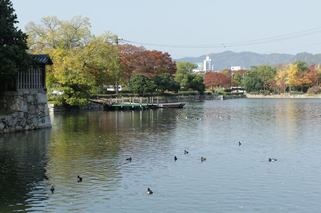 のんびりとしたお堀。