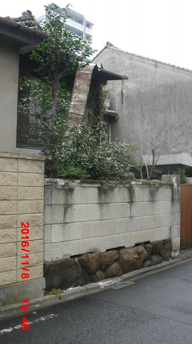 熟成度は高い<br /><br />素晴らしい