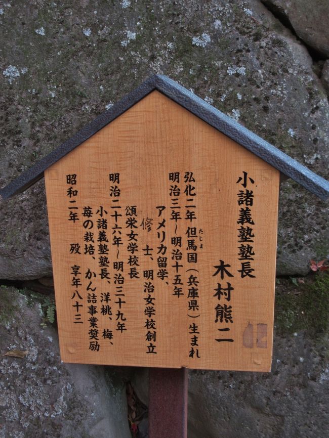 所沢市高齢者大学第36期同期会旅行 上田城・小諸城址懐古園 OB/OG Tour of 36th Senior College of Tokorozawa City/UedaCastle,Komoro Kaikoen