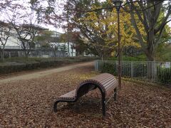 11月20日、河内長野　寺ケ池公園の遊歩道から出発です。

落葉がびっしり。