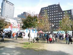 新橋駅に向かい歩き出しました。すぐ近くの南桜公園では東北の食材がたくさん売られていましたが、お祭り後の大行列で断念。