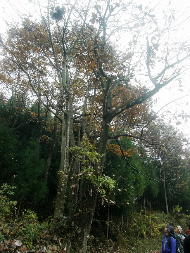 下を見て上を・・