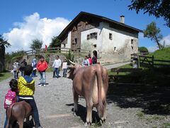 ハイジハウスに到着です。思っていた以上にテーマパークでした。
ここも中国からの旅行者が多かったです。
こちらは作り物の牛。
記念撮影にけっこう人気でした。