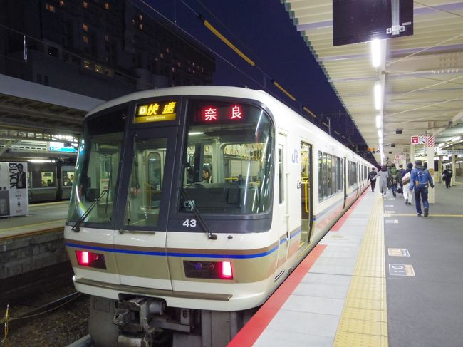 １７：３６発、奈良行の快速にちょうど間に合いました。<br />座れてよかった。<br /><br />１８：２６　奈良に到着予定です。<br />が、木津で人身事故。ひとつ前の上狛駅でストップしてしまいました。<br />運転再開は１９：００頃の予定・・電車のドアが開けられたので降りてどこかへ行ってしまう人もいましたが、地理もわからないので、じっと待っているしかありません。<br />１９：００では現場検証が終わらなくて結局奈良駅に着いたのは