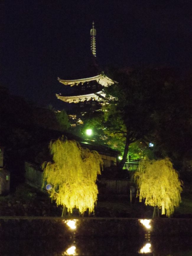 猿沢の池越しに、ライトアップされた興福寺の五重塔が見えます。