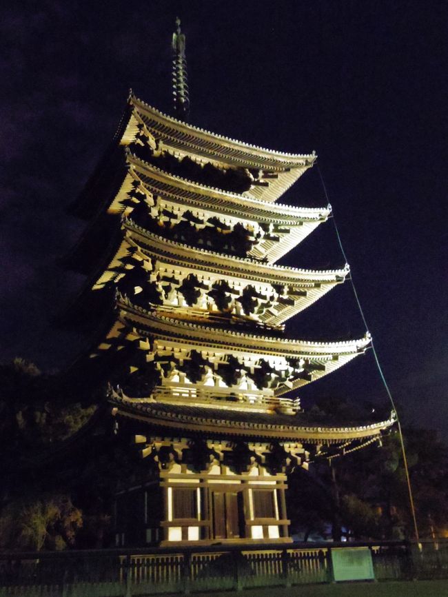 せっかくなので、興福寺境内まで行って撮影。