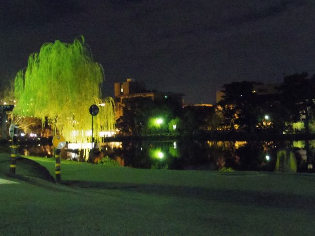 猿沢の池まで降りてきて