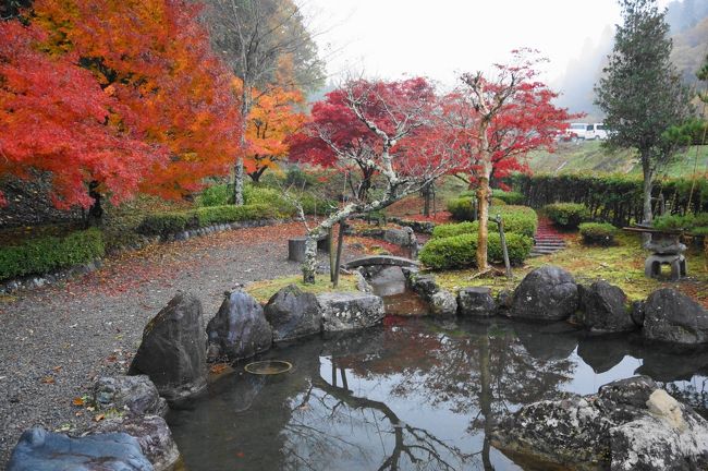 真紅の絨毯を敷き詰めた鶏足寺！こんなレッドカーペット見たこと