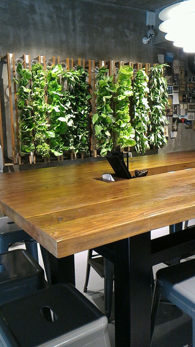 反対側の壁にはメインの野菜！<br />1束ずつになってるので食べたいものをとってこれもかごへ入れます。<br />この左手に麺を選ぶ札が並んでるので、好きなのを1枚かごへ入れたら会計へ。<br /><br />もちろん外帯も可能。混んでるときはその方がいいのかも。