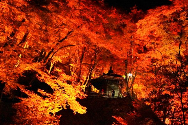 香嵐渓に行ってきました！エッエッ～って！まさかの・・・？』香嵐渓・白鷺温泉・笹戸温泉(愛知県)の旅行記・ブログ by hiro3さん【フォートラベル】