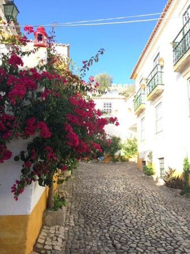 3日目はバスでオビドスへ。リスボンからはバスで1時間ほど。白い壁の家々が立ち並ぶ城壁に囲まれた小さい街です。オビドスのメインは絶景を見渡せる街の一番奥にあるポサーダ。ポサーダとは、お城や修道院を改装して建てられたポルトガルの雰囲気を満喫できるホテルのこと。ポルトガルに行くならば、ぜひ泊まってみたいホテルです。