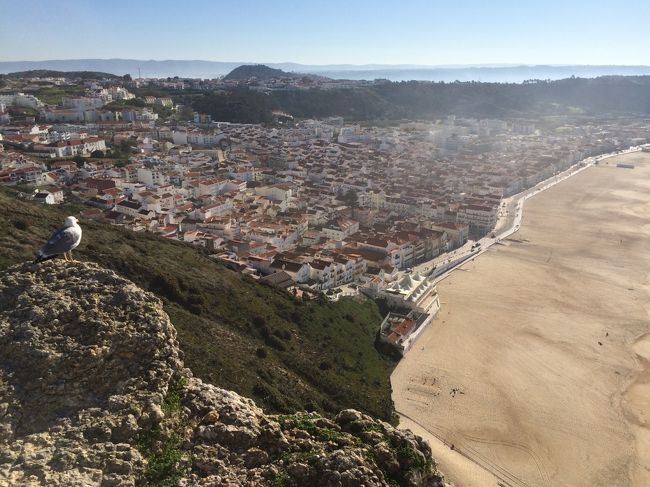 さらにバスにてナザレへ。リスボンからバスで2時間ほど。ここはヨーロッパでも有数のビーチで、夏はヨーロッパ中から来るバカンス客で砂浜は人で埋めつくされます。シティオ地区では民族衣装を身にまとったおば様が露店で商売してます。