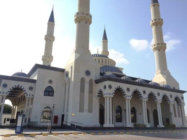 8日目はドバイ観光。アルファルークモスク、ザ・ビーチ、シティウォークパーク、ボックスパーク。いずれも新しくできた施設です。基本的に女性が入れないモスクが多いのですが、アルファルークモスクはイスラム教徒の女性と同じ服装(無料貸し出しあり)をしていれば入ることができます。コスプレ気分を味わえます。もちろん男性も衣装(無料貸し出しあり)で入ることができますよ。