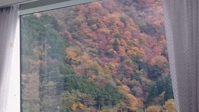 宮ケ瀬湖<br />遊覧船