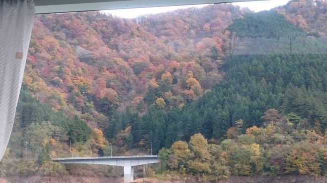 宮ケ瀬湖<br />遊覧船