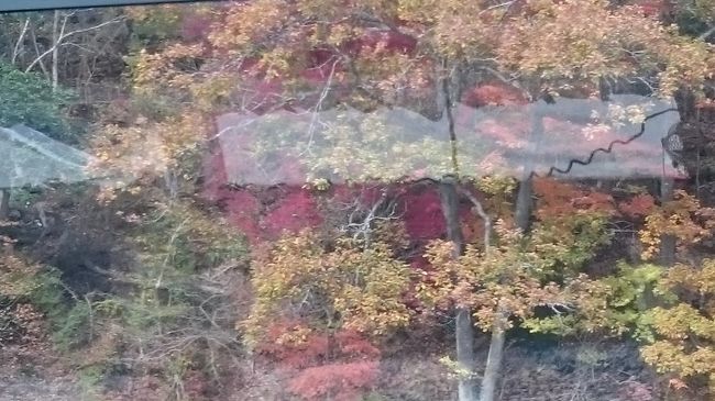 宮ケ瀬湖<br />遊覧船