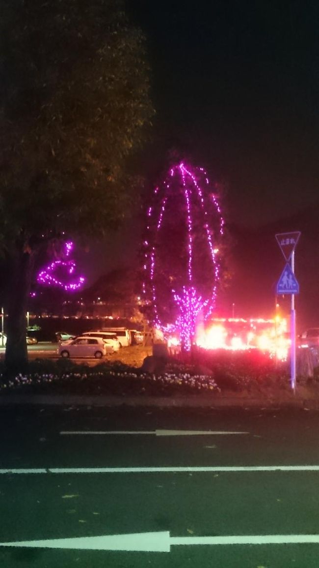 津久井湖<br />イルミネーション