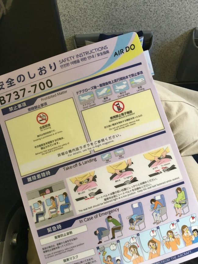 機内のしおりもオリジナルですね