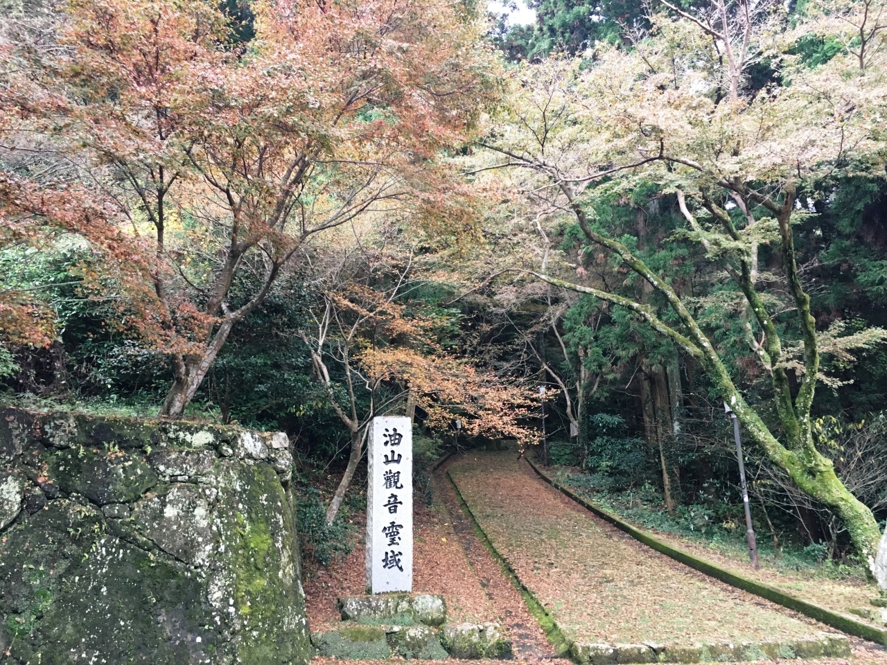 次は、油山観音様に来ました。

厳かな雰囲気で、まさに霊域という印象です。
